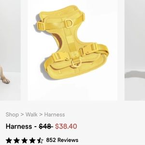 Wild One yellow dog harness (Small)